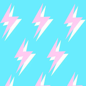 Meet your Posher, Charlotte